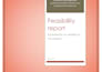 create a professional business plan and financial model for startups